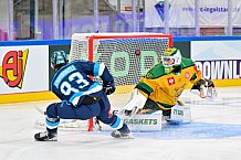 Hockey, Mens, CHL, Season 2025-2026, Regular Season, Game Day 1, ERC Ingolstadt - Ilves Tampere, 28.08.2025
