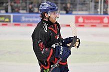 Eishockey, Herren, DEL, Saison 2024-2025, Spieltag 39, Straubing Tigers - ERC Ingolstadt, 24.01.2025