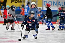 Eishockey, Saison 2025-2026, ERC Ingolstadt - Kids On Ice Day, 10.01.2026
