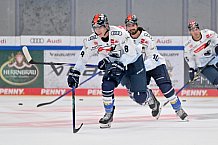 Eishockey, Herren, DEL, Saison 2023-2024, ERC Ingolstadt - Showtraining, 13.08.2023