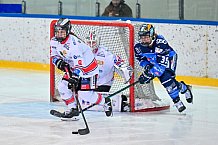 Eishockey, Frauen, DFEL, Saison 2023-2024, ERC Ingolstadt - ECDC Memmingen Indians, 21.01.2024