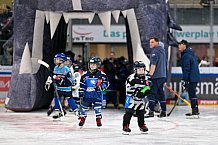 Eishockey, Saison 2025-2026, ERC Ingolstadt - Kids On Ice Day, 29.11.2025