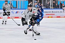 Eishockey, Herren, DEL, Saison 2024-2025, Spieltag 36, ERC Ingolstadt - Kölner Haie, 12.01.2025
