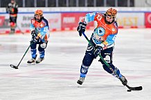 Eishockey, Frauen, DFEL, Saison 2024-2025, ERC Ingolstadt - EC Bergkamener Bären, 05.01.2025