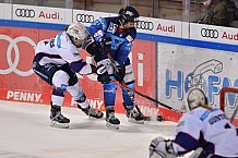 Eishockey, Frauen, DFEL, Saison 2020-2021, ERC Ingolstadt - Eisbären Juniors Berlin, 10.01.2021