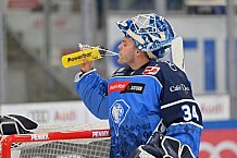 Eishockey, Herren, DEL, Saison 2023-2024, Spieltag 9, ERC Ingolstadt - EHC Red Bull München, 08.10.2023