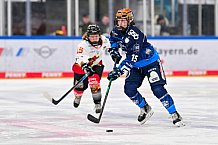 Eishockey, Frauen, DFEL, Saison 2024-2025, ERC Ingolstadt - EC Bergkamener Bären, 05.01.2025