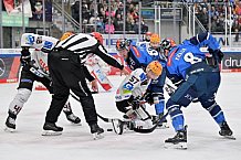 Eishockey, Herren, DEL, Saison 2023-2024, Playoffs Viertelfinale - Spiel 4, ERC Ingolstadt - Fischtown Pinguins , 24.03.2024