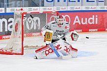 Eishockey, Herren, DEL, Saison 2024-2025, Spieltag 42, ERC Ingolstadt - Kölner Haie, 31.01.2025