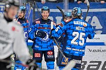 Eishockey, Herren, DEL, Saison 2025-2026, Spiel 16, ERC Ingolstadt - Kölner Haie, 31.10.2025