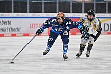 Eishockey, Frauen, DFEL, Saison 2024-2025, ERC Ingolstadt - Mad Dogs Mannheim, 23.11.2024