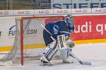 ERC Ingolstadt vs Thomas Sabo Ice Tigers, Eishockey, DEL, Deutsche Eishockey Liga, Spieltag 34,  03.01.2017