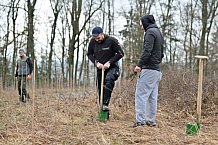 Eishockey, Herren, DEL, Saison 2023-2024, ERC Ingolstadt - Baumpflanzaktion, 02.03.2024