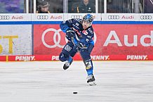 Eishockey, Herren, DEL, Saison 2024-2025, Spieltag 35, ERC Ingolstadt - Augsburger Panther, 10.01.2025