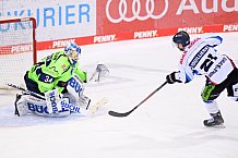 Eishockey, Herren, DEL, Saison 2020-2021, ERC Ingolstadt - Straubing Tigers, 13.02.2021