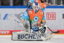 Eishockey, Frauen, DFEL, Saison 2024-2025, ERC Ingolstadt - Eisbären Berlin, 15.02.2025