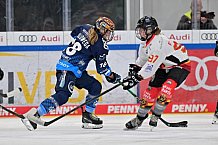 Eishockey, Frauen, DFEL, Saison 2024-2025, ERC Ingolstadt - EC Bergkamener Bären, 12.10.2024