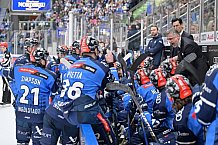 Eishockey, Herren, DEL, Saison 2023-2024, Spieltag 46, ERC Ingolstadt - Düsseldorfer EG, 15.02.2024