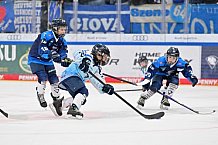 Eishockey, Herren, DEL, Saison 2026-2027, Spieltag 8, ERC Ingolstadt - Löwen Frankfurt, 11.10.2026