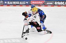 Eishockey, Herren, DEL, Saison 2026-2027, Spieltag 8, ERC Ingolstadt - Löwen Frankfurt, 11.10.2026