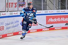 Eishockey, Herren, DEL, Saison 2023-2024, Playoffs Viertelfinale - Spiel 2, ERC Ingolstadt - Fischtown Pinguins , 20.03.2024