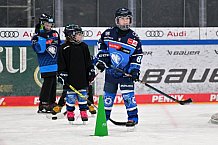 Eishockey, Herren, DEL, Saison 2024-2025, ERC Ingolstadt - Kids On Ice Day, 11.01.2025