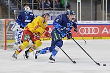 ERC Ingolstadt vs Düsseldorfer EG, DEL, Deutsche Eishockey Liga, Spieltag 44, 14.02.2020