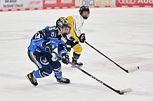 Eishockey, Frauen, DFEL, Saison 2023-2024, ERC Ingolstadt - Mad Dogs Mannheim, 18.02.2024