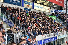 ERC Ingolstadt vs Grizzlys Wolfsburg, Eishockey, DEL, Deutsche Eishockey Liga, 31.01.2016