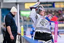 Eishockey, Herren, DEL, Saison 2025-2026, Spiel 11, ERC Ingolstadt - Nürnberg Ice Tigers, 17.10.2025