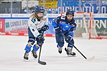 Eishockey, Herren, DEL, Saison 2024-2025, Spieltag 45, ERC Ingolstadt - Iserlohn Roosters, 16.02.2025