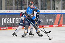 Eishockey, Herren, DEL, Saison 2023-2024, Spieltag 38, ERC Ingolstadt - Adler Mannheim, 14.01.2024