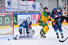 Hockey, Mens, CHL, Season 2025-2026, Regular Season, Game Day 1, ERC Ingolstadt - Ilves Tampere, 28.08.2025