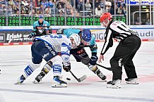 Eishockey, Herren, DEL, Saison 2026-2027, Spieltag 4, ERC Ingolstadt - Adler Mannheim, 27.09.2026