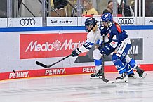 Eishockey, Frauen, DFEL, Saison 2026-2027, Testspiel, ERC Ingolstadt - ZSC Lions Zürich, 05.09.2026
