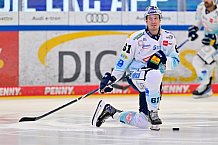 Eishockey, Herren, DEL, Saison 2025-2026, Spiel 44, ERC Ingolstadt - Dresdner Eislöwen, 27.01.2026