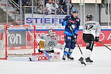 Eishockey, Herren, DEL, Saison 2024-2025, Spieltag 36, ERC Ingolstadt - Kölner Haie, 12.01.2025