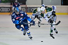 Eishockey, Herren, DEL, Saison 2024-2025, EHC Olten - ERC Ingolstadt, 25.08.2024
