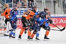 Eishockey, Herren, DEL, Saison 2023-2024, Spieltag 5, ERC Ingolstadt - Grizzlys Wolfsburg, 29.09.2023