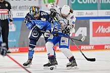 Eishockey, Frauen, DFEL, Saison 2023-2024, ERC Ingolstadt - ESC Planegg-Würmtal, 26.11.2023