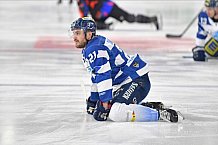 Thomas Sabo Ice Tigers vs ERC Ingolstadt, DEL, Deutsche Eishockey Liga, Spieltag 41, 26.01.2020