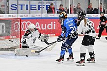 Eishockey, Frauen, DFEL, Saison 2023-2024, ERC Ingolstadt - Amsterdam Tigers, 06.01.2024