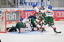 Eishockey, Herren, DEL, Saison 2024-2025, Spieltag 15, ERC Ingolstadt - Augsburger Panther, 03.11.2024