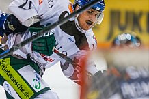 ERC Ingolstadt vs Augsburger Panther, Eishockey, DEL, Deutsche Eishockey Liga, Spieltag 21, 23.11.2016

