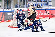 Eishockey, Herren, DEL, Saison 2024-2025, Playoffs Viertelfinale, Spiel 5, ERC Ingolstadt - Nürnberg Ice Tigers, 26.03.2025