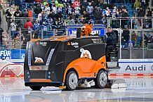 Eishockey, Herren, DEL, Saison 2025-2026, Spiel 21, ERC Ingolstadt - Pinguins Bremerhaven, 23.11.2025