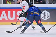 Eishockey, Mens, CHL, Season 2023-2024, ERC Ingolstadt - Färjestad Karlstad, 02.09.2023