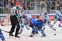 Eishockey, Herren, DEL, Saison 2023-2024, Spieltag 23, ERC Ingolstadt - Straubing Tigers, 01.12.2023