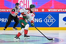 Hockey, Mens, CHL, Season 2025-2026, Quarter-Finals, ERC Ingolstadt - Frölunda Gothenburg, 02.12.2025