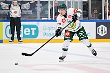 Eishockey, Mens, CHL, Season 2023-2024, ERC Ingolstadt - Färjestad Karlstad, 02.09.2023